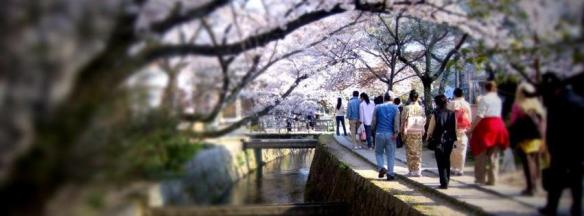 386474_10150446162440881_1132904691_n